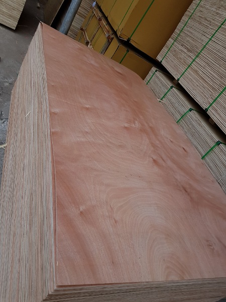PlyWood: Lớp A / B