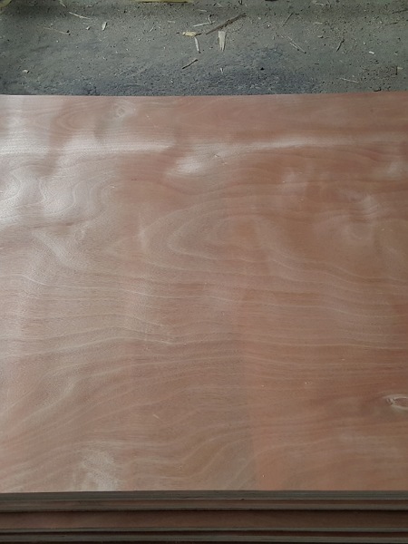 Plywood với máy ép nóng hai lần